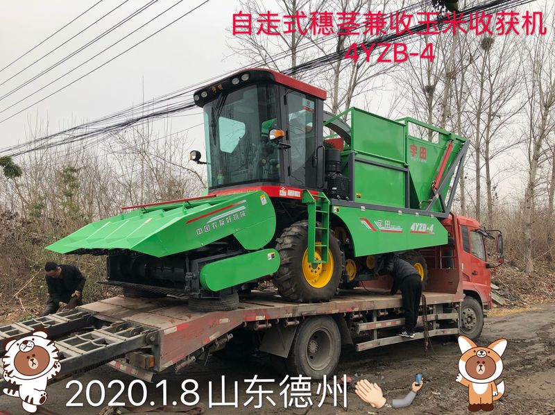 髮徃山東悳州的自走式(shi)穗莖兼收玉米收穫機